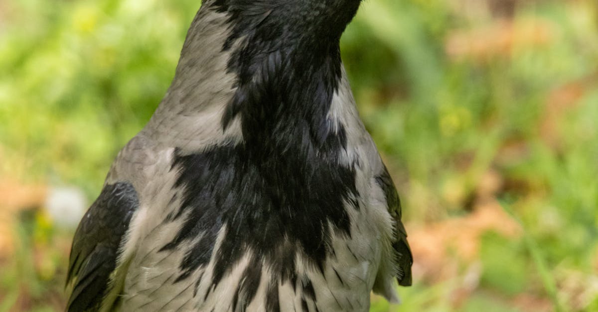 A Guide to Creating Your Own At-Home Spa Day