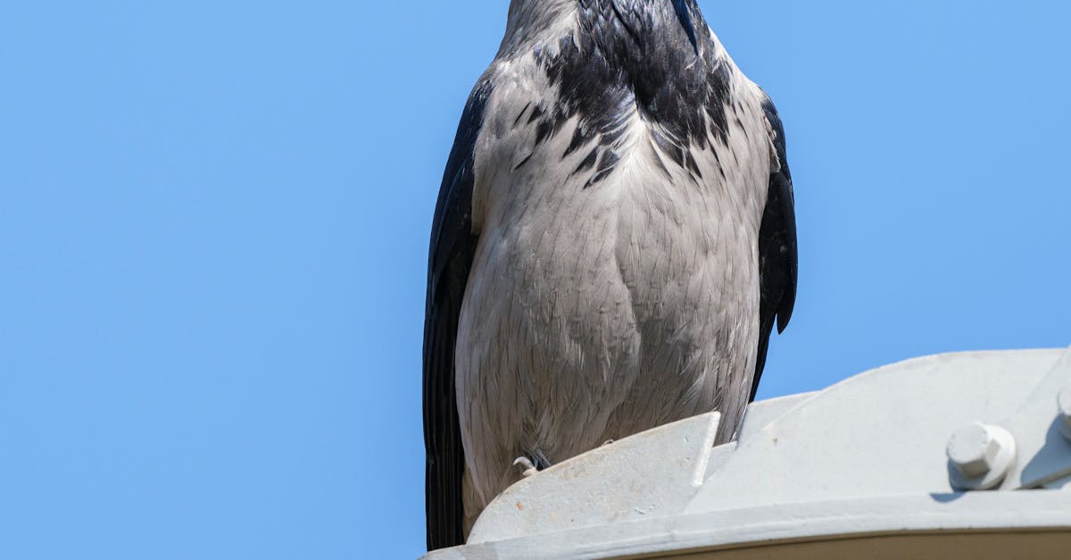 Analyzing Customer Responses to Loyalty Initiatives in Hair and Beauty