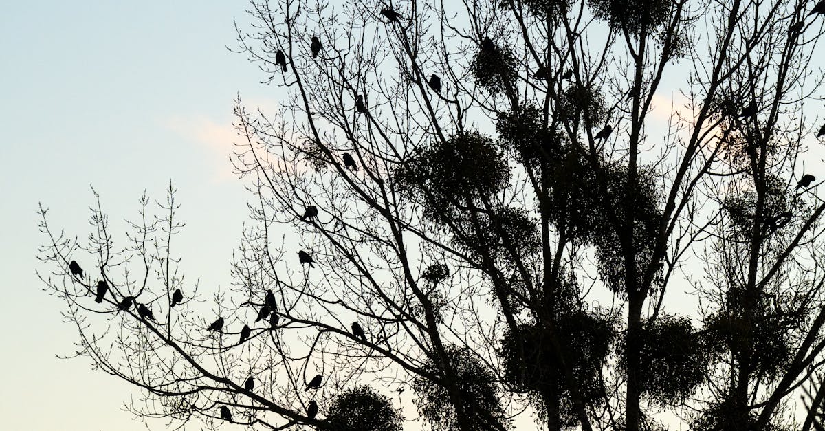 Cultivating a Positive Attitude: Staff Behaviour in Salons