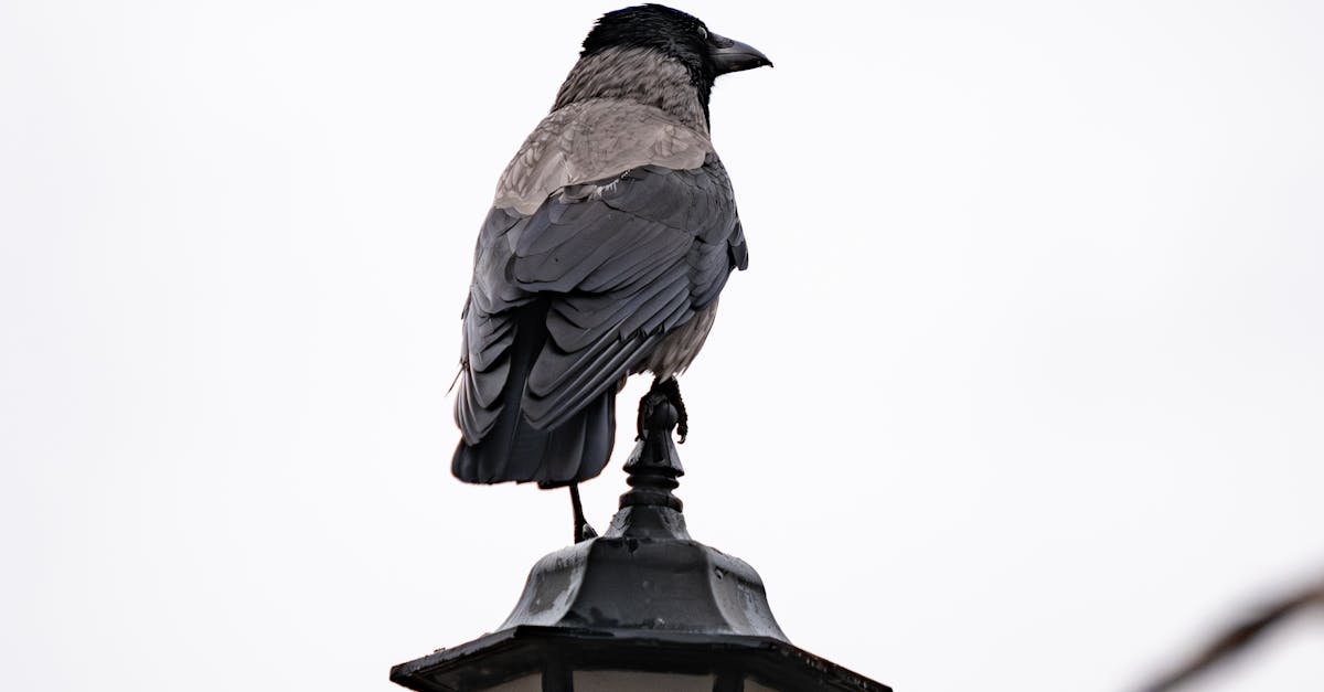 Custom Nail Designs: Expressing Yourself Through Your Nails