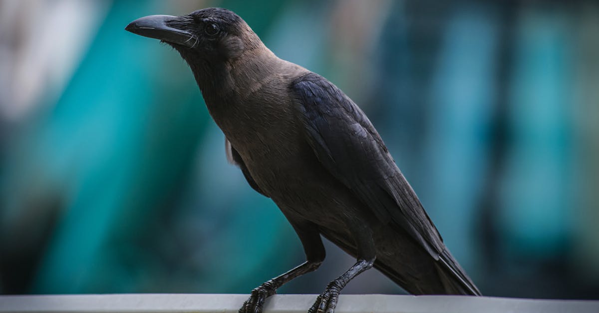 Embracing AI: Personalised Beauty Recommendations