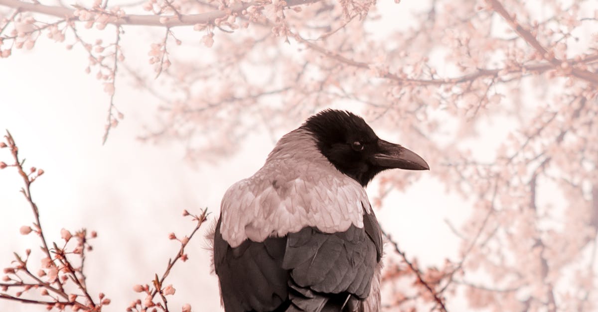 The Role of Personalised Consultations in Crows Nest Makeup Services